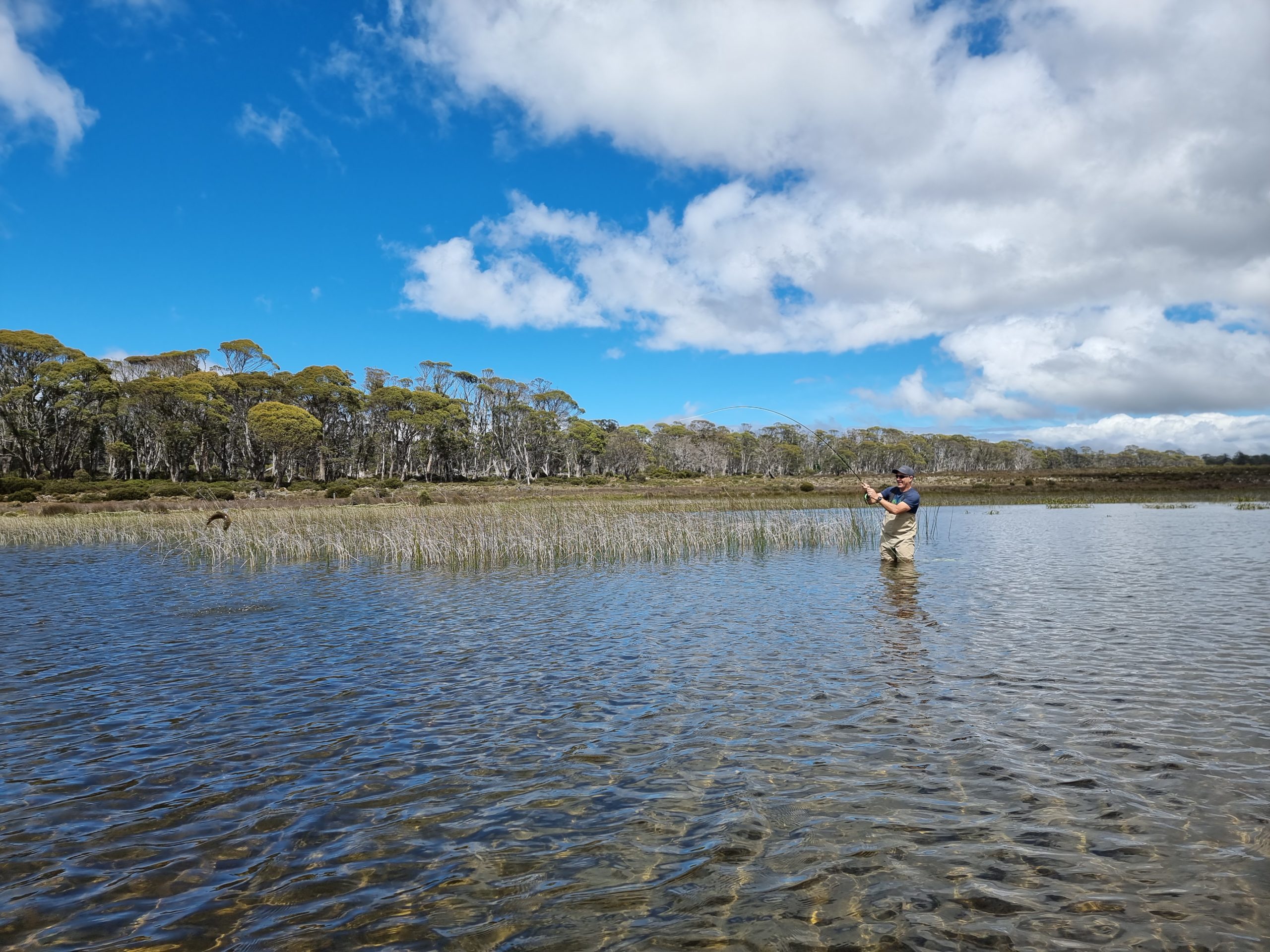Fly Fishing Tasmania Report Feb 2021 RiverFly 1864 river and