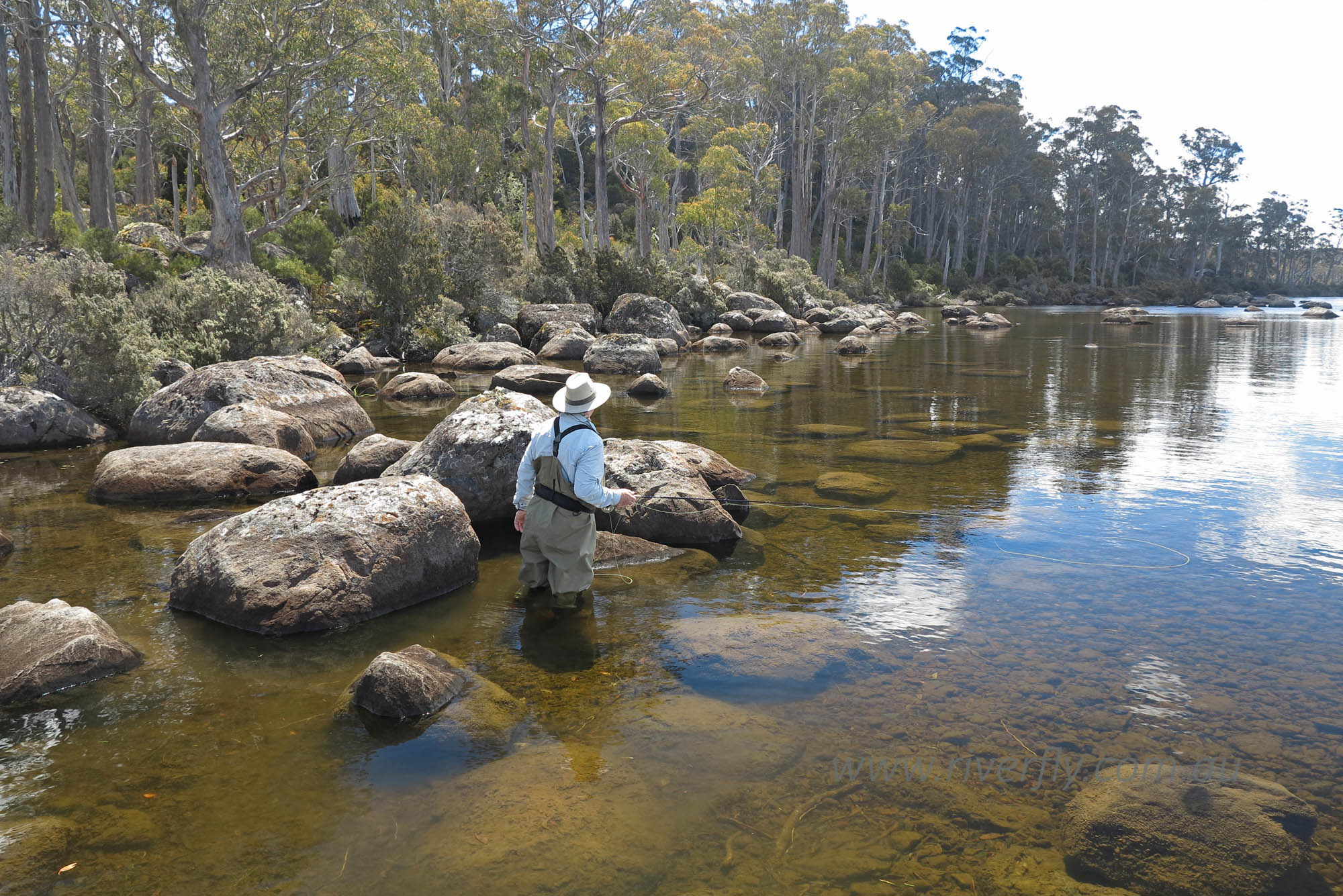 Fly fishing Tasmania Western Lakes