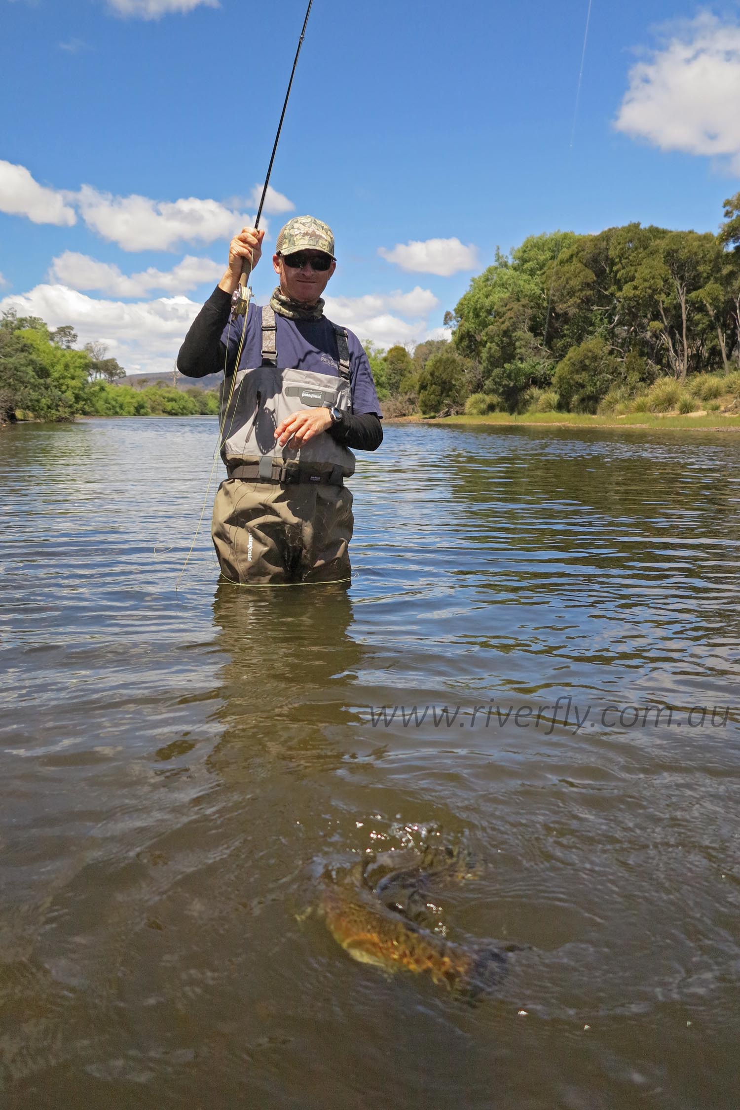 Fly Fishing Tasmania report