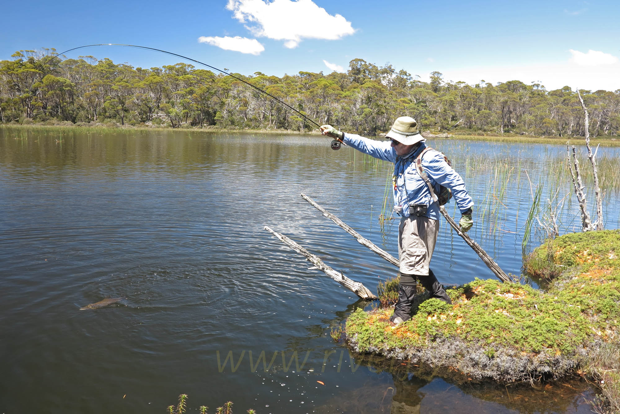 February fly fishing Tasmania report
