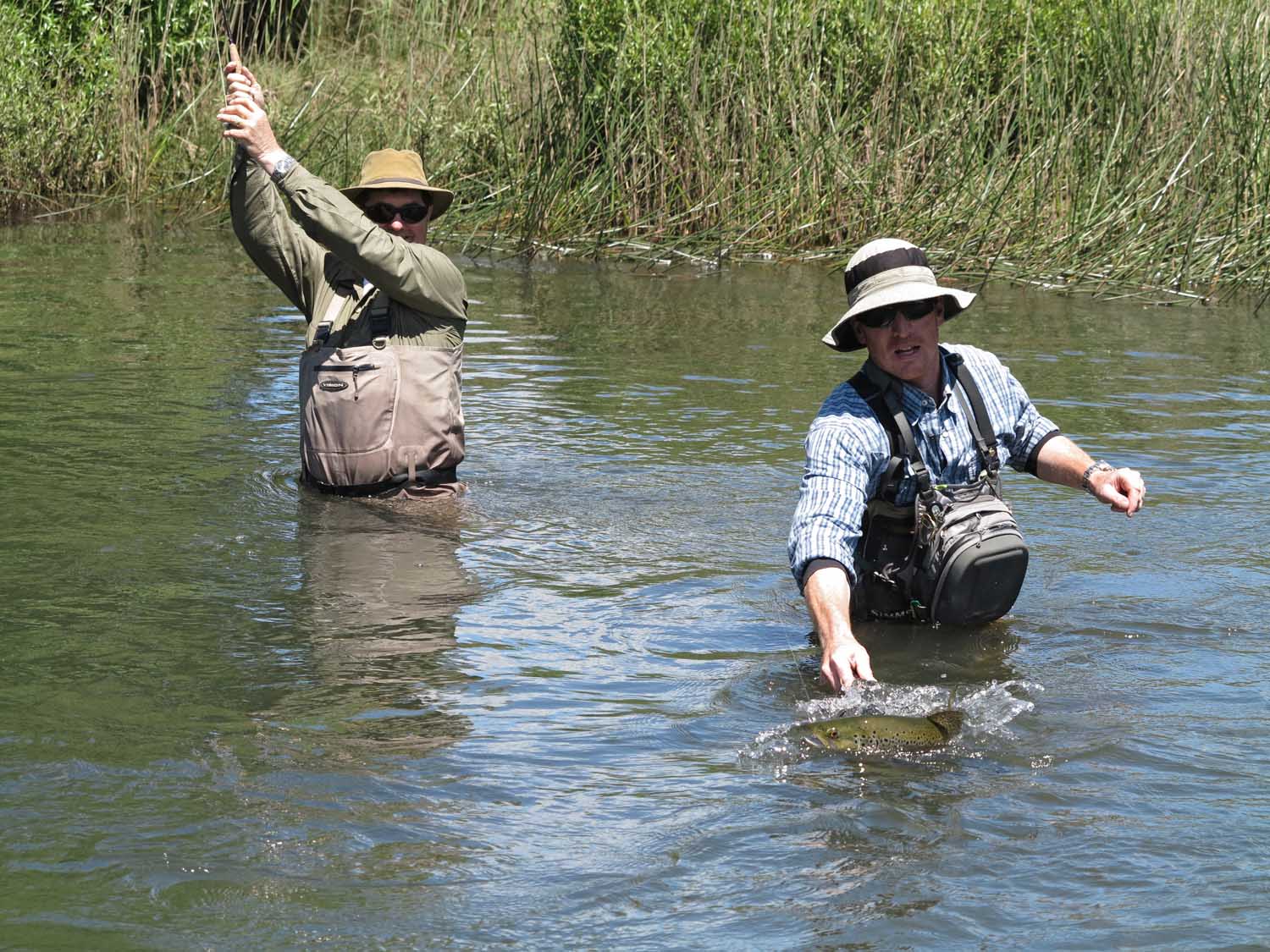 Wild Tasmanian trout RiverFly 1864 river and wilderness fly fishing Tasmania