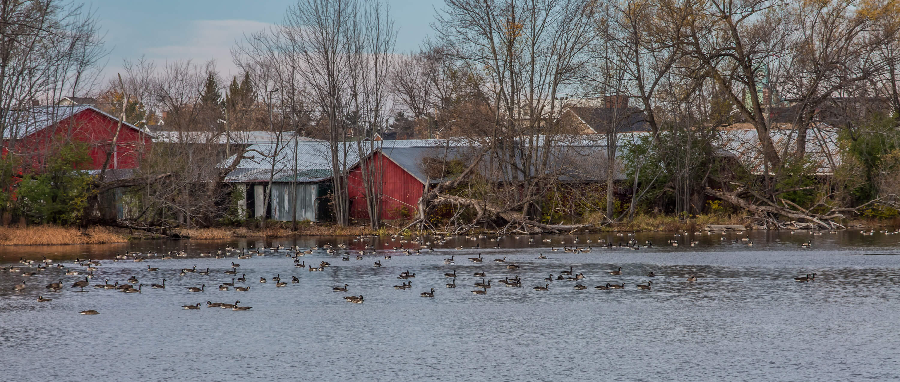 Riverfront Estates Gallery Riverfront Estates