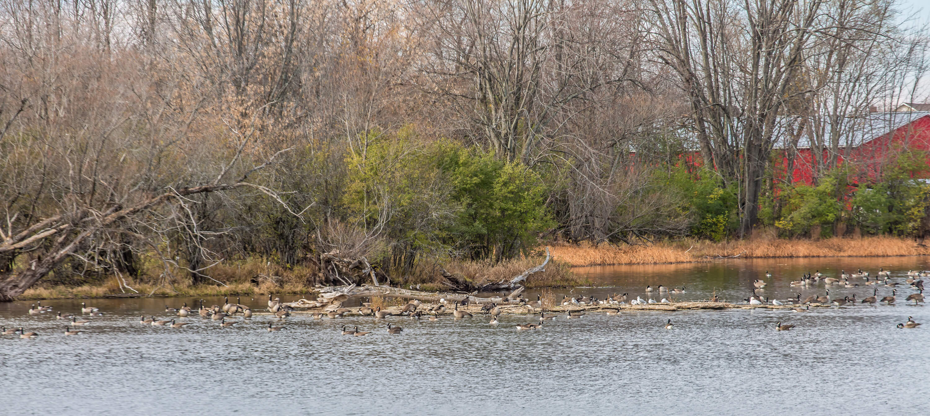 Riverfront Estates Gallery Riverfront Estates