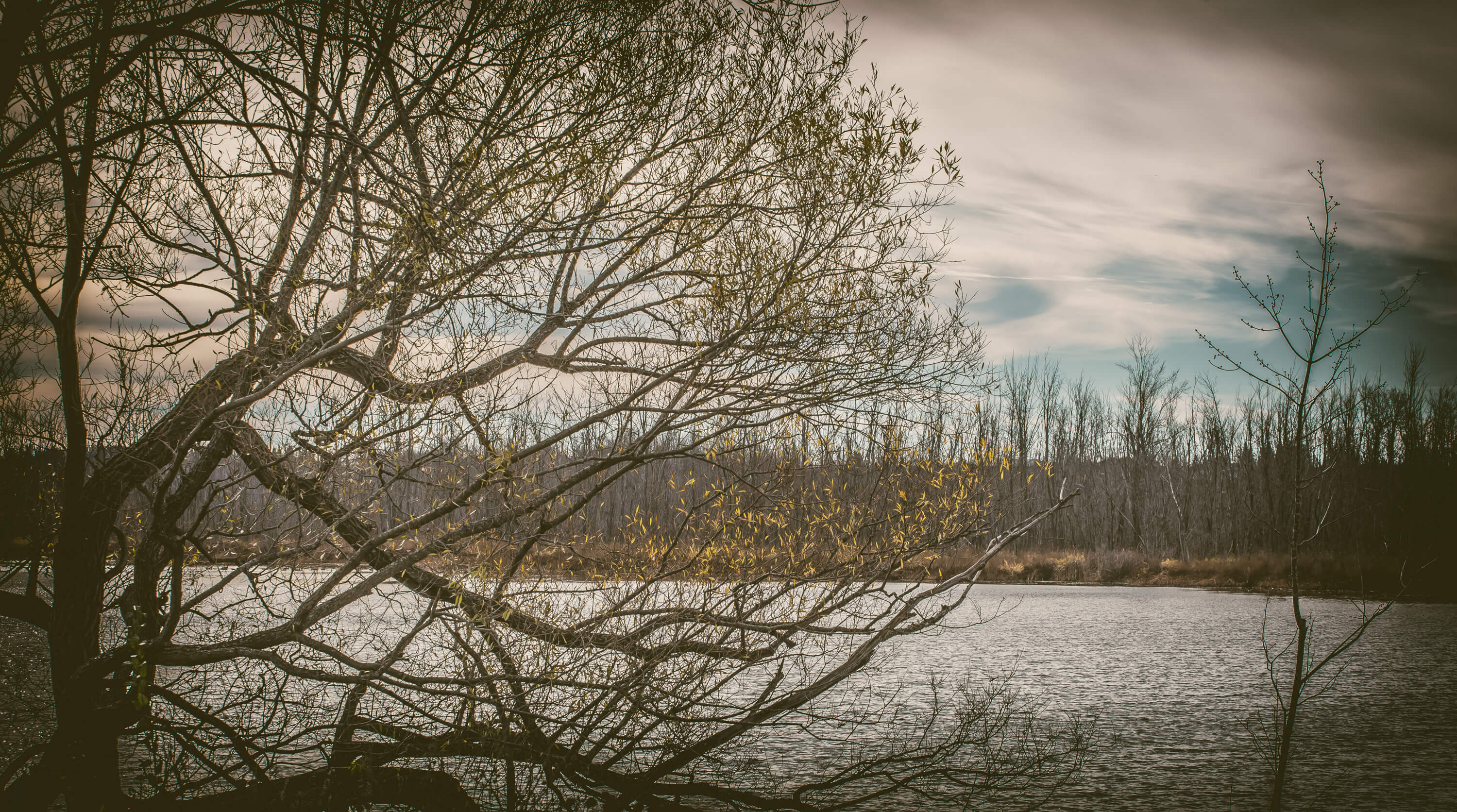 Riverfront Estates Gallery Riverfront Estates