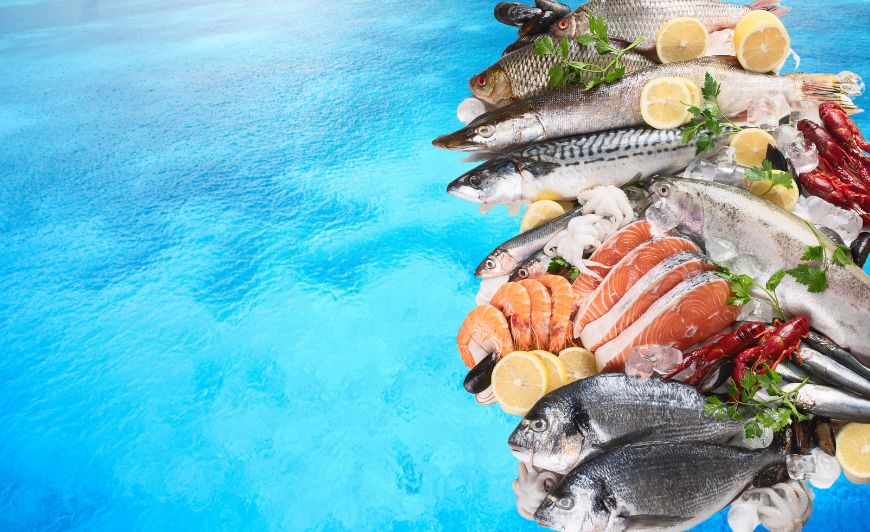 Riverina Seafood Market Your Local Fresh Seafood Shop in Wagga Wagga