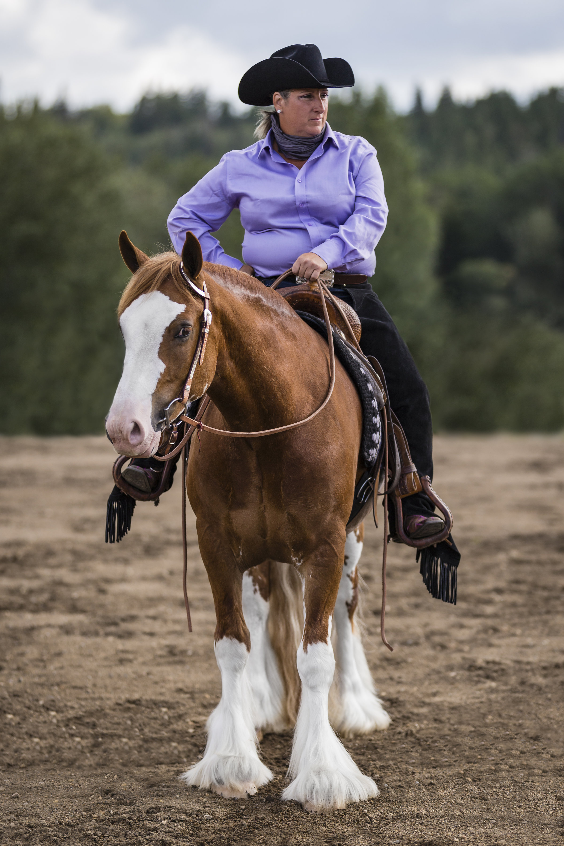Geldings For Sale River Lane Ranch
