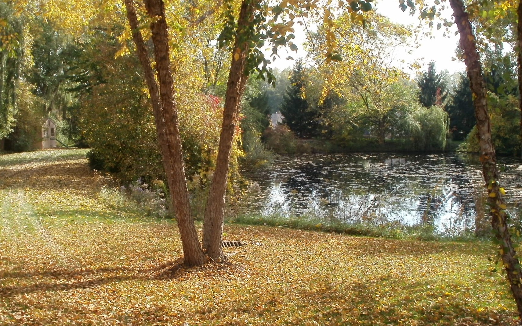 River Pines Condominiums to River Pines Condominium Association