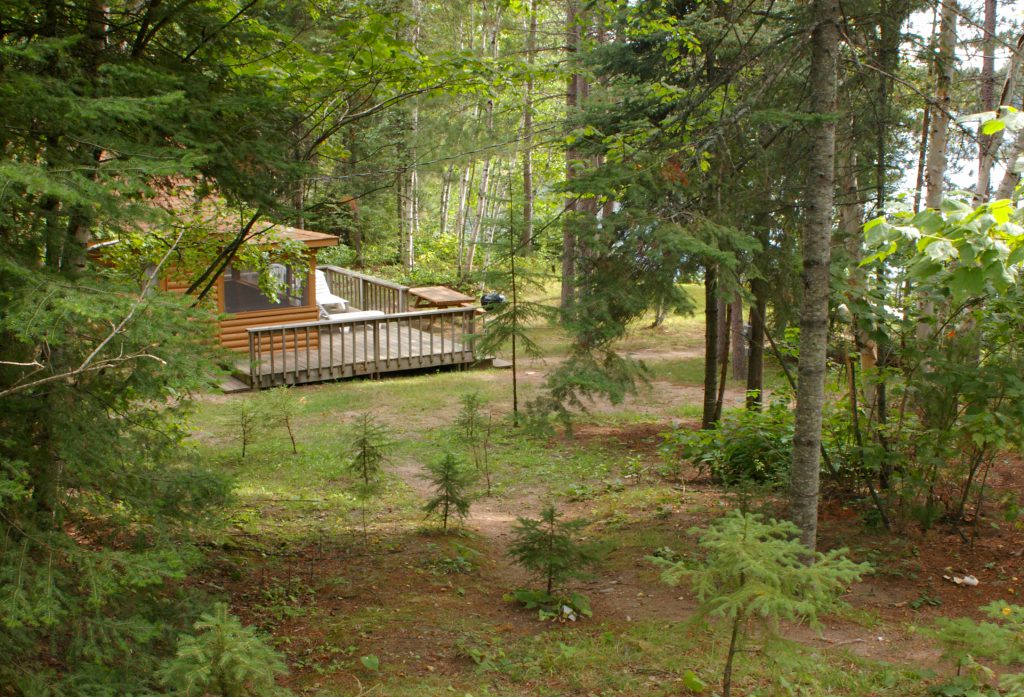 Maybe you would like to learn more about one of these? Northern MN Cabins-Hideaway Cabin-River Point Resort
