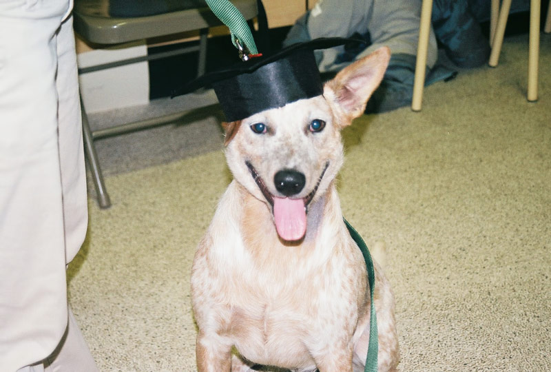 River Run Pet Sitters LLC Photo Gallery