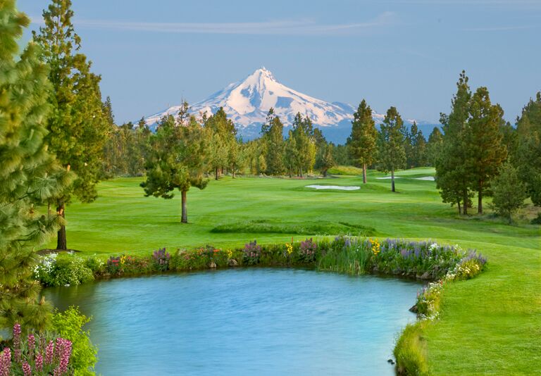Importance of EcoFriendly Golf Courses Environmental Awareness