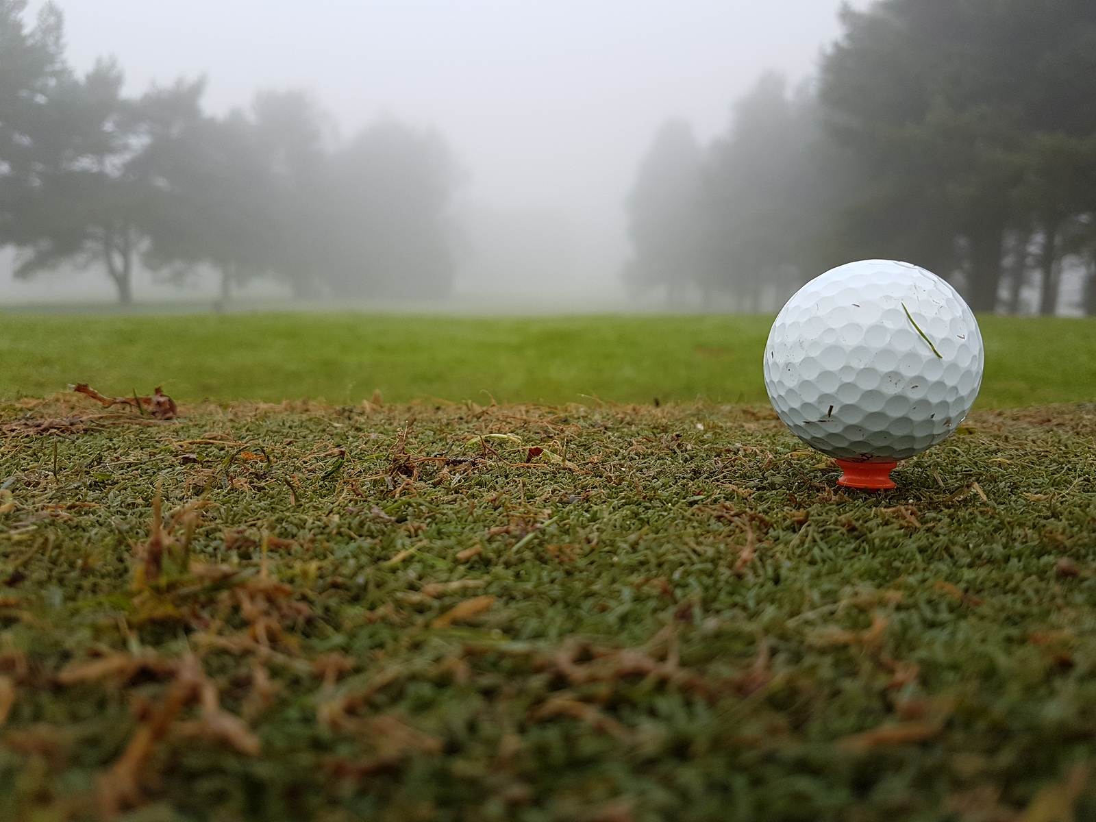 Eliminate Your Winter Golf Woes Rivers Edge