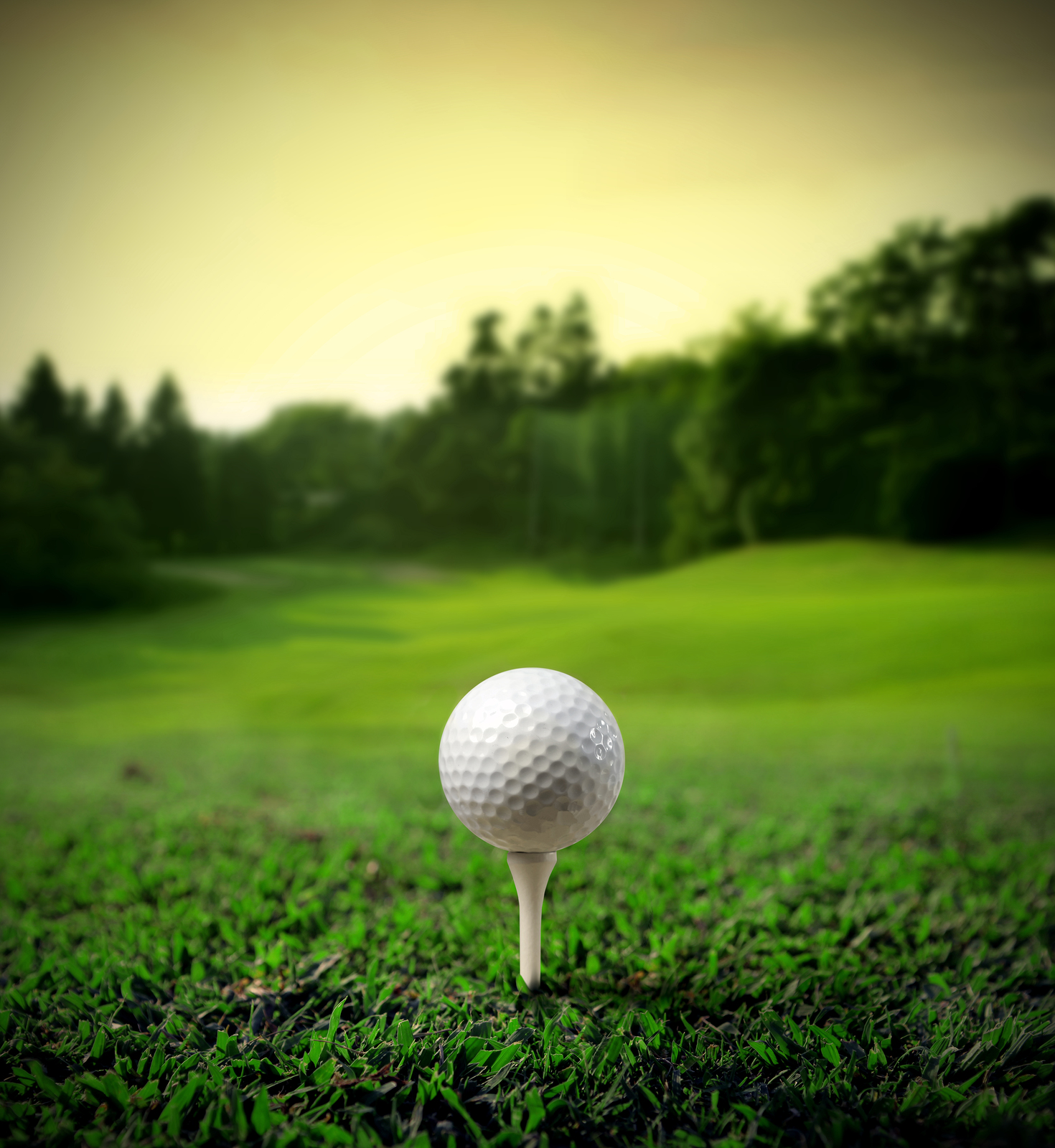 How to Choose the Perfect Golf Ball Rivers Edge