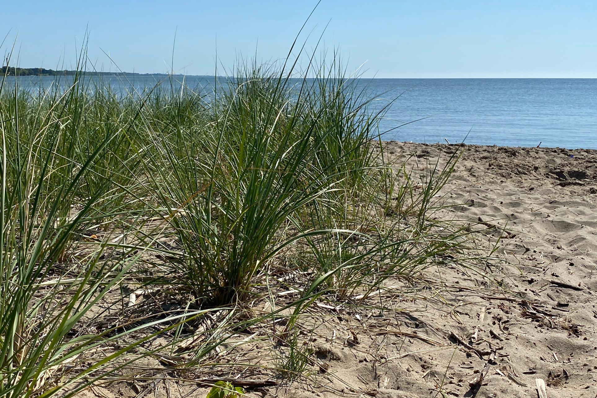 Home Rivers Edge Apartments