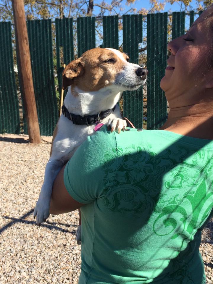 Photo Gallery Riverside Kennel Fort Worth, TX