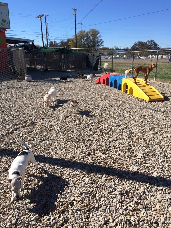 Photo Gallery Riverside Kennel Fort Worth, TX