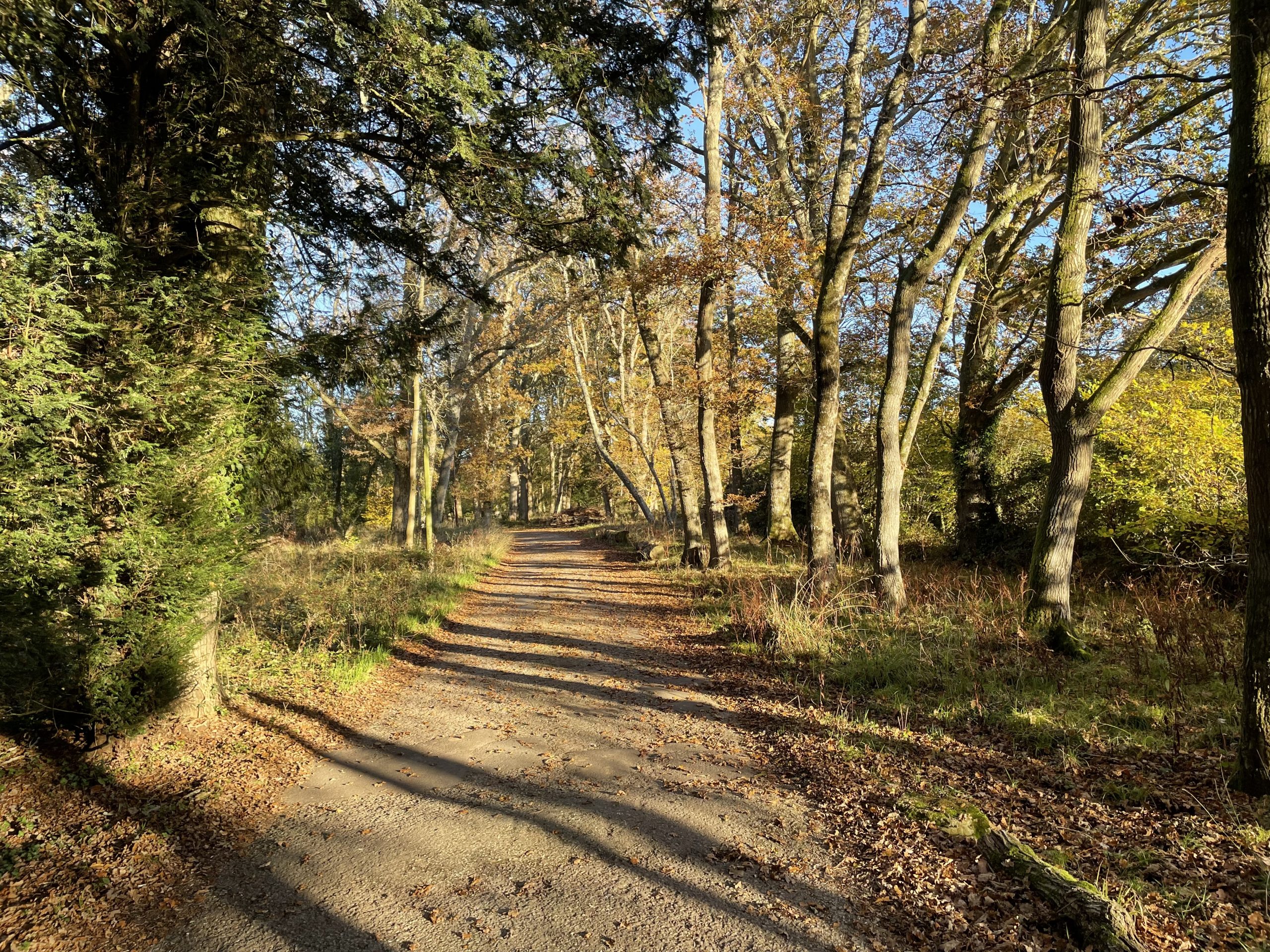 Gallery RIVERSIDE LAKES