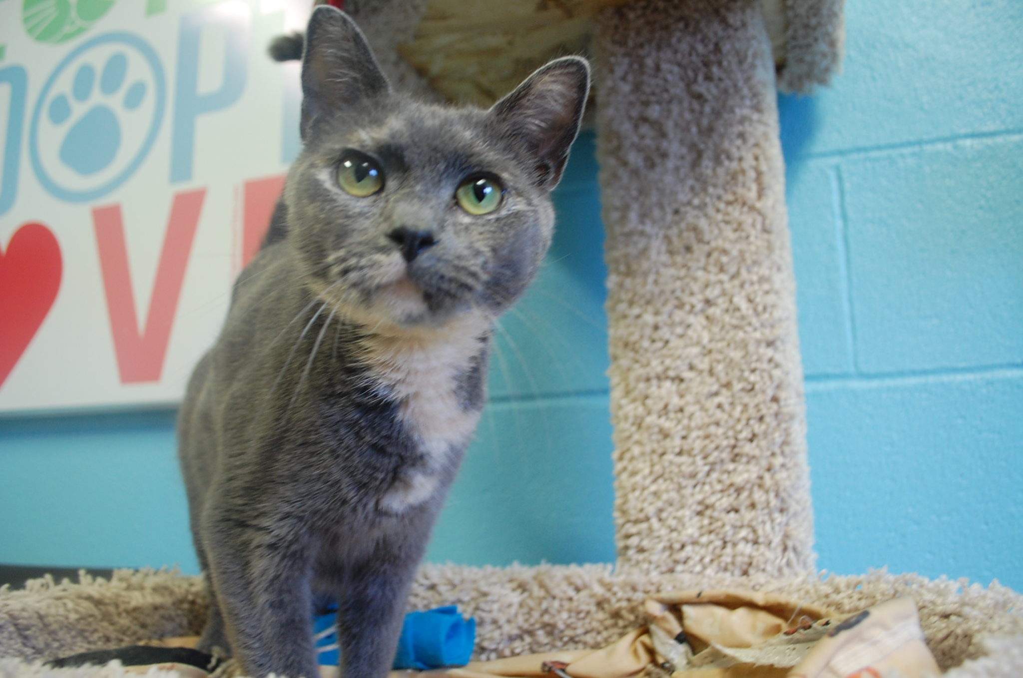 DSC_0317 Riverside Veterinary Hospital