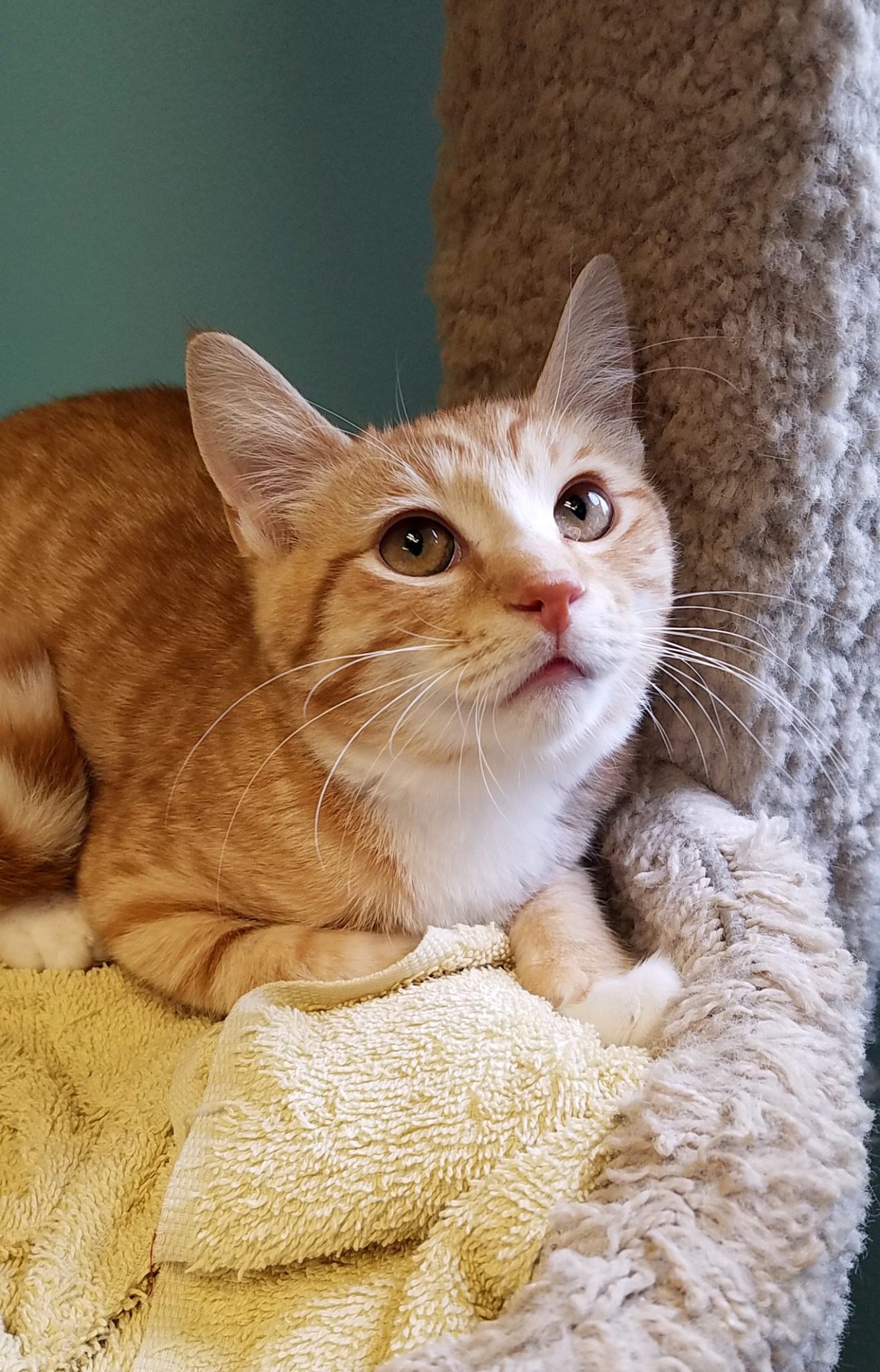 20180904_083109 Riverside Veterinary Hospital