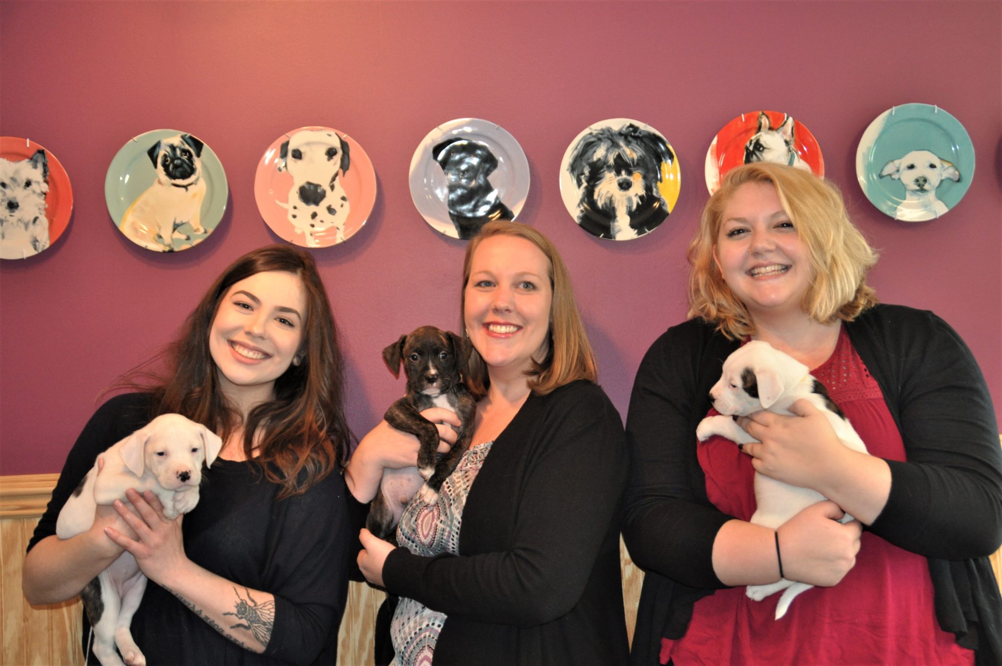 DSC_0291 Riverside Veterinary Hospital