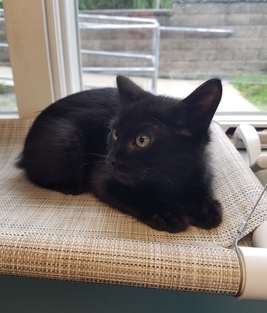 kk Riverside Veterinary Hospital