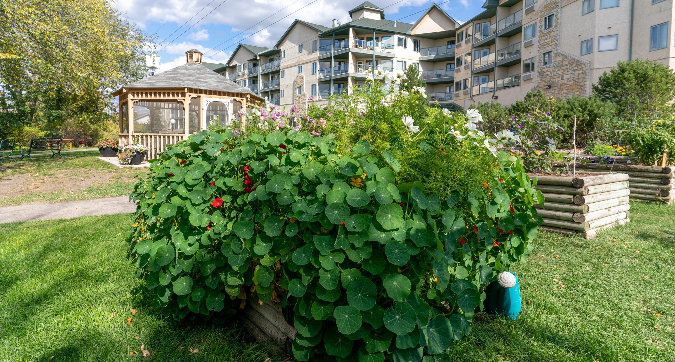Luther Riverside Terrace Retirement Living Community Saskatoon, SK