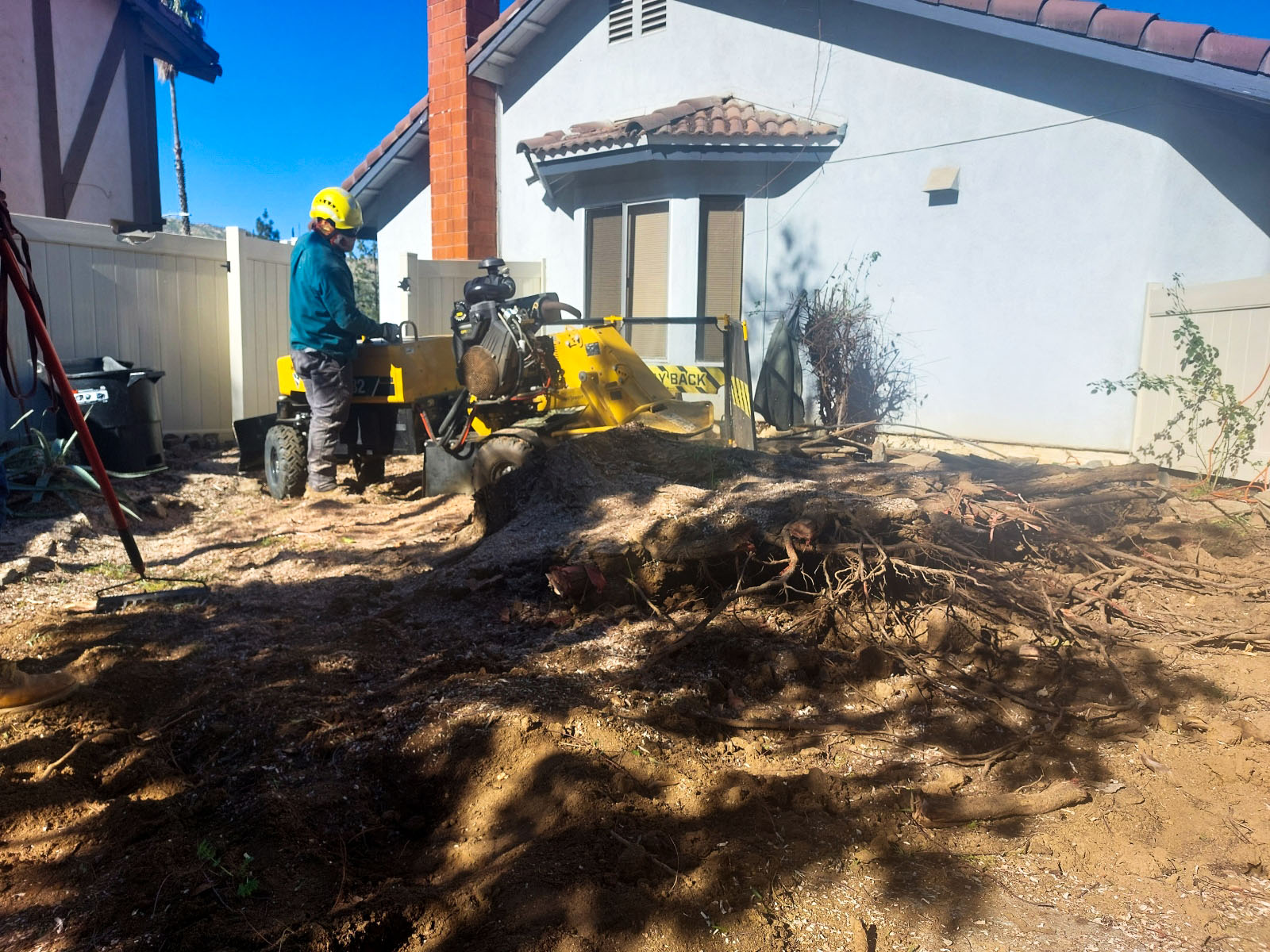 Residential Tree Service Gallery Ezra Tree Service