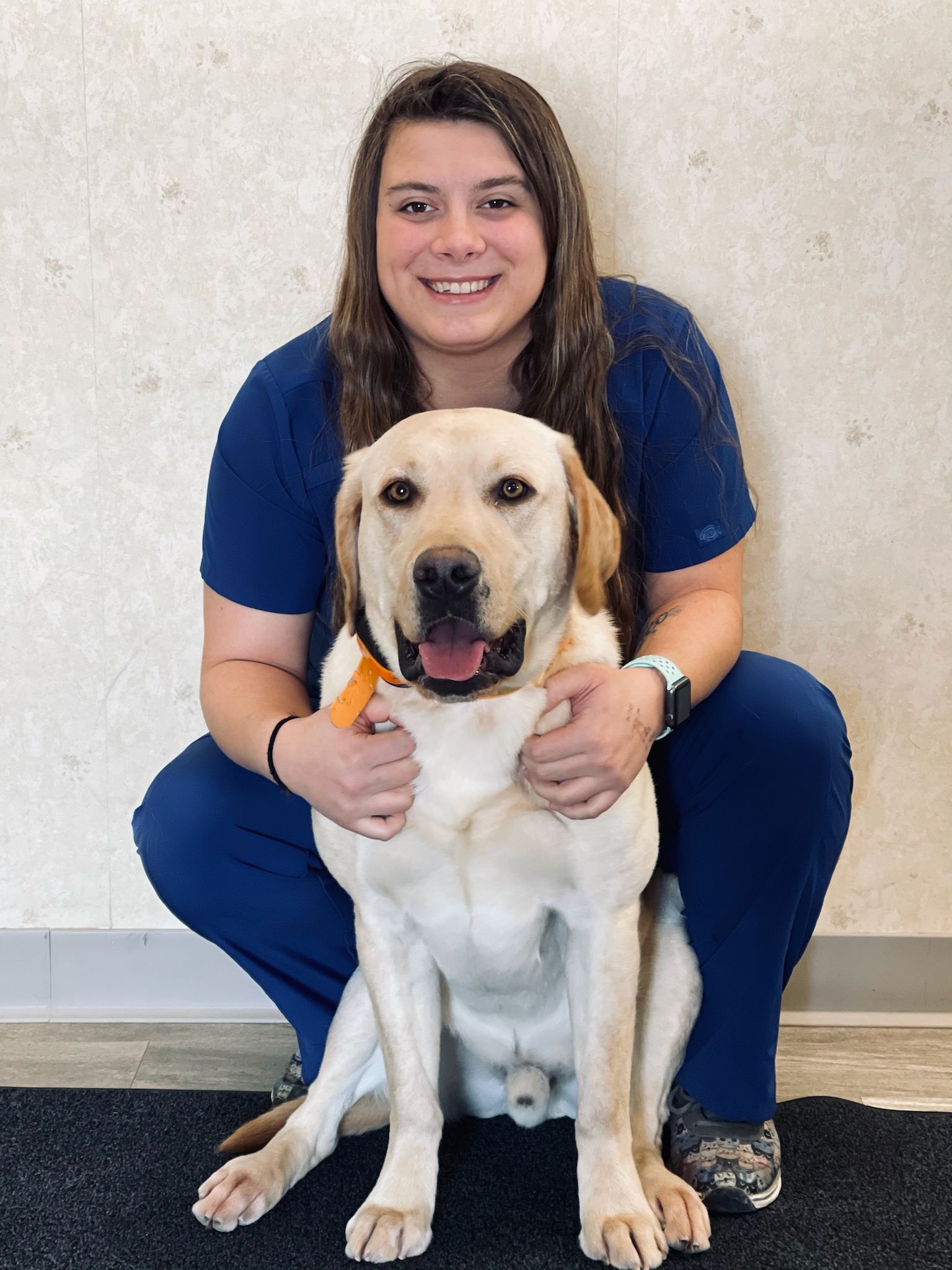 all pets veterinary clinic clinton iowa Dante Arsenault