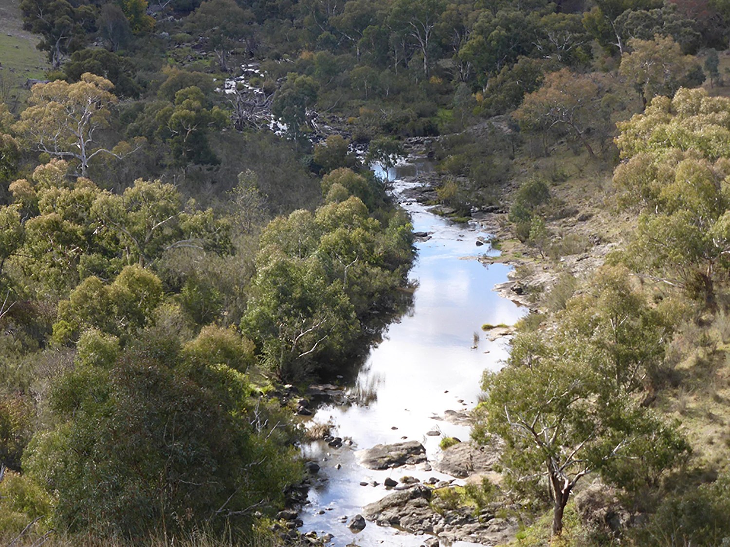 What is a river of carbon? Rivers of Carbon