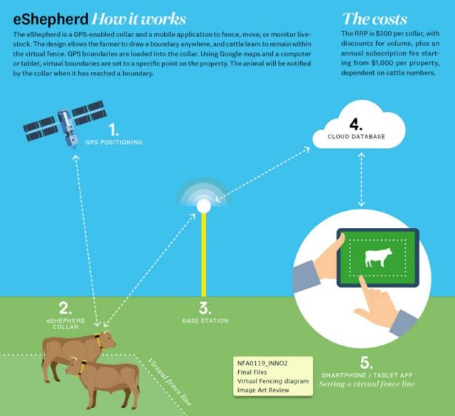 Virtual fencing innovation protects riparian areas Rivers of Carbon