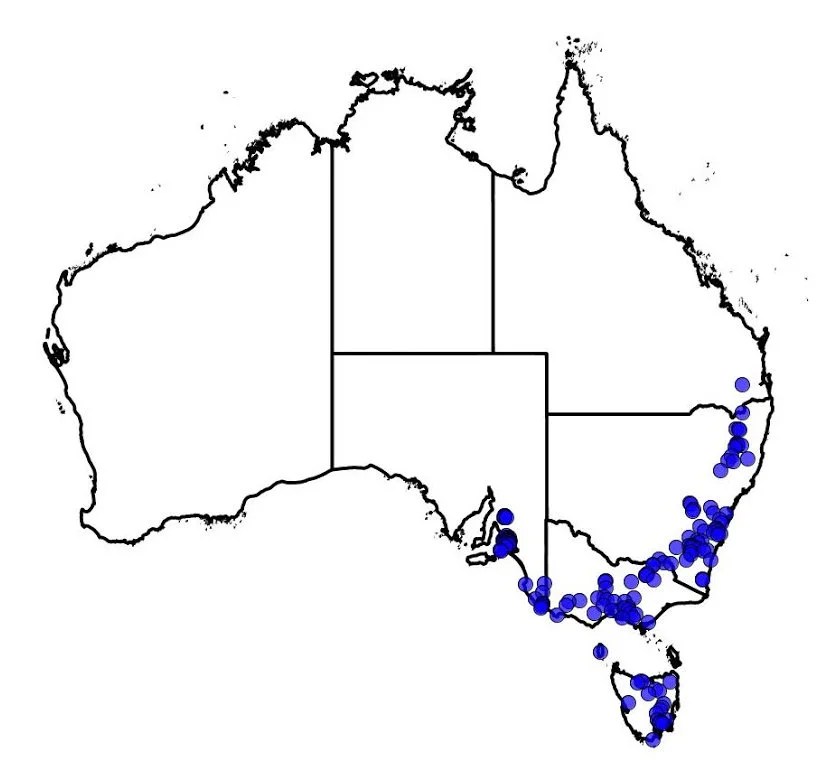 Guide Managing Hawthorn Around Waterways Rivers of Carbon