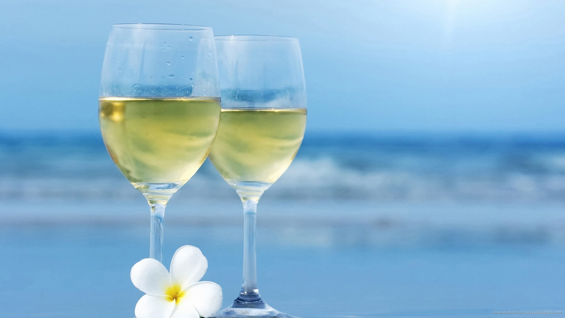 The Health Benefits of White Wine. Sara Rivera