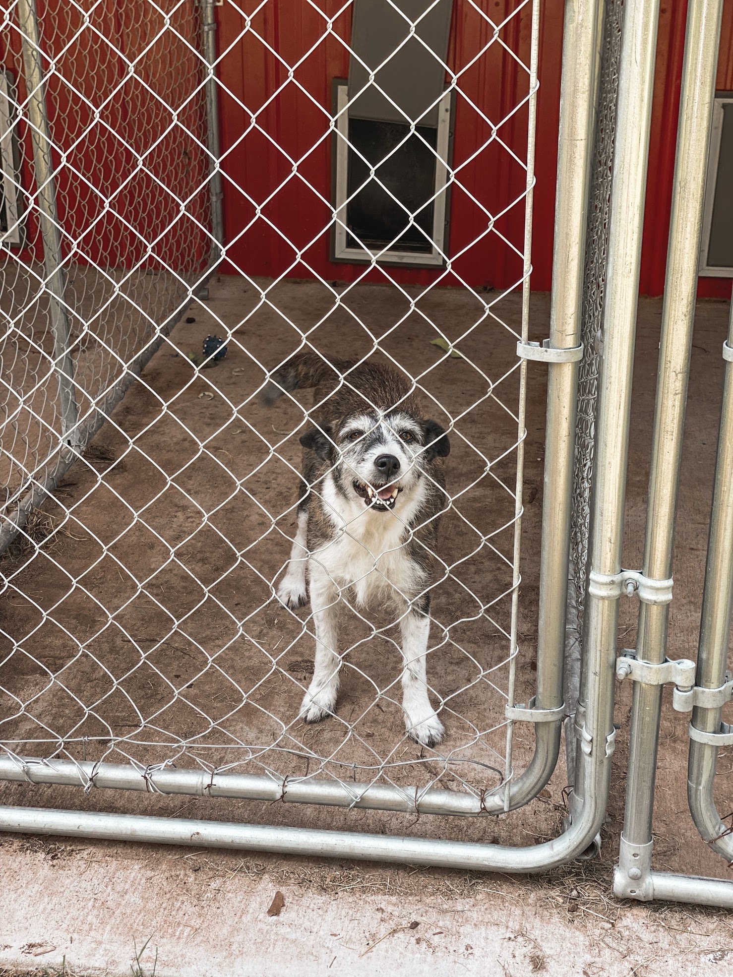 River Stone Ranch Kennels Registration Home