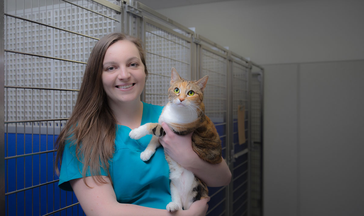 Services Pet Grooming, Boarding, Puppy Preschool & Dog Training