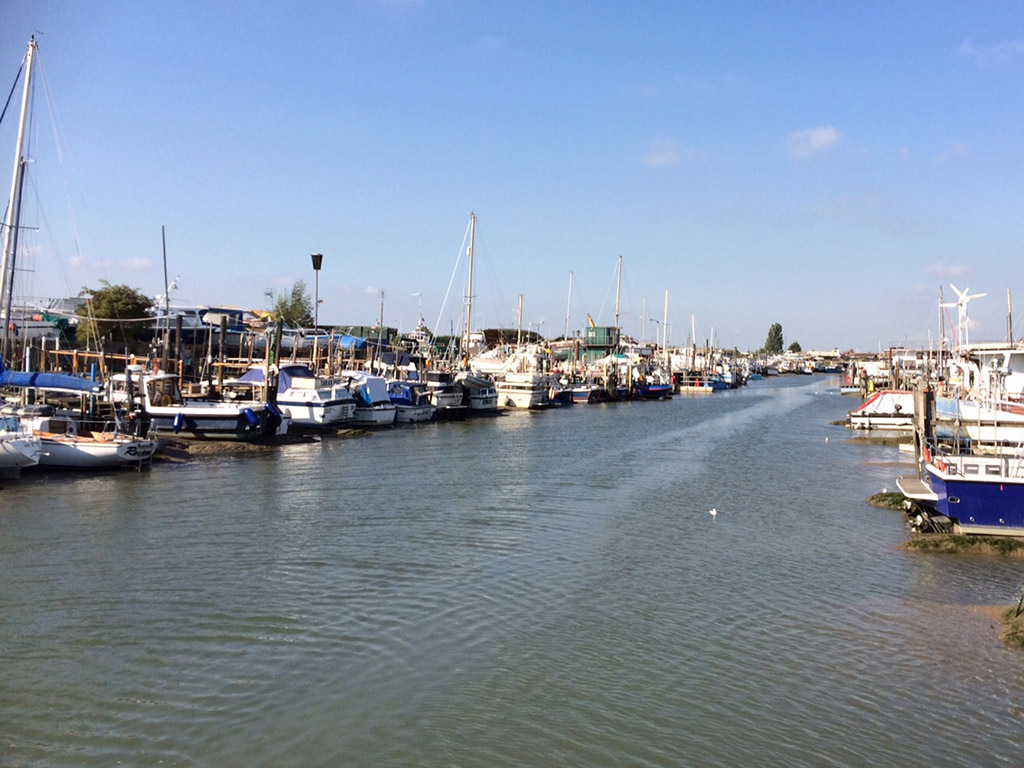 River Thames Moorings Gallery