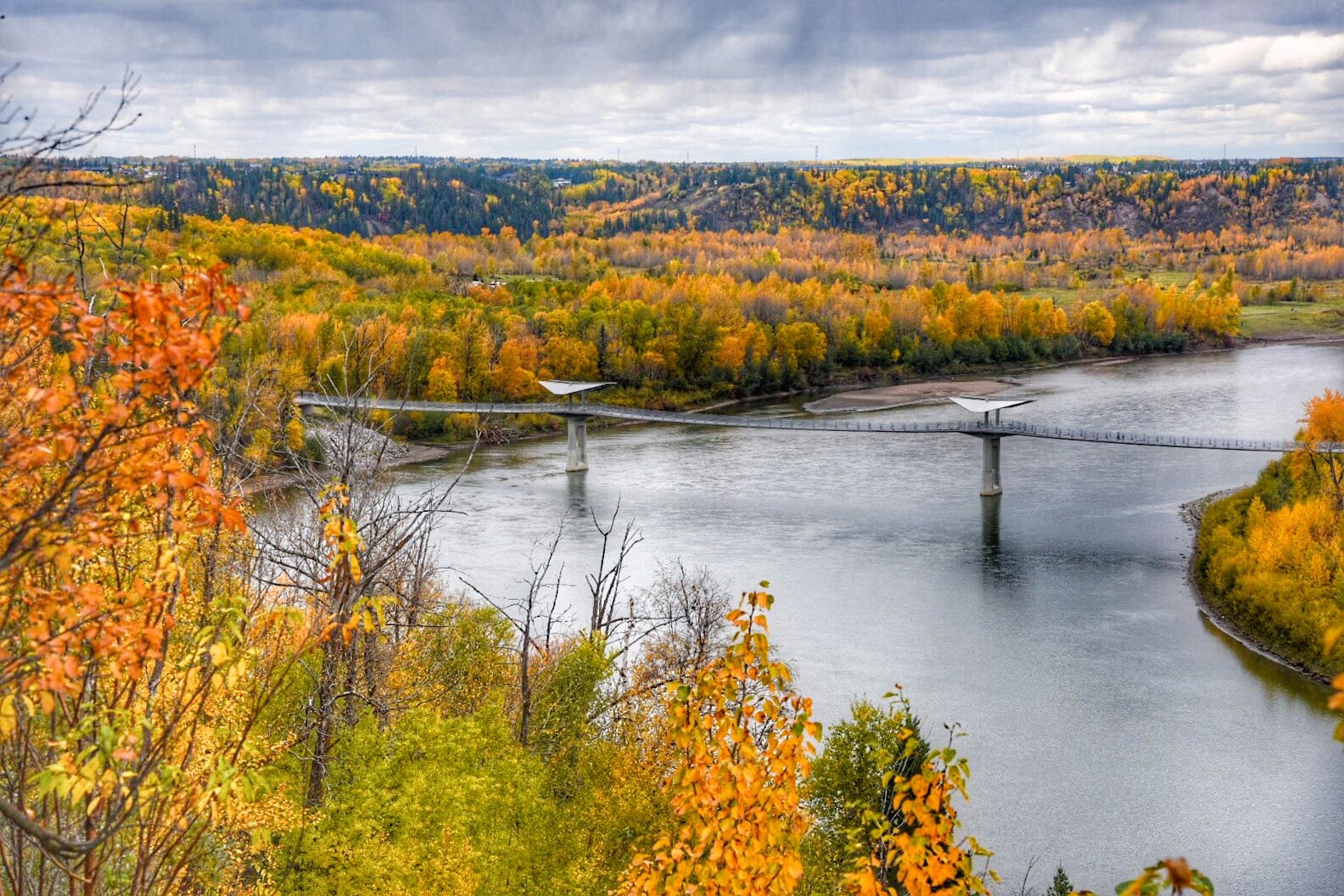 Edmonton River Valley Alliance