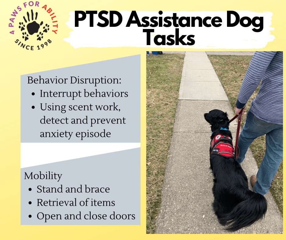 National PTSD Awareness Month How a Service Dog Makes a Difference