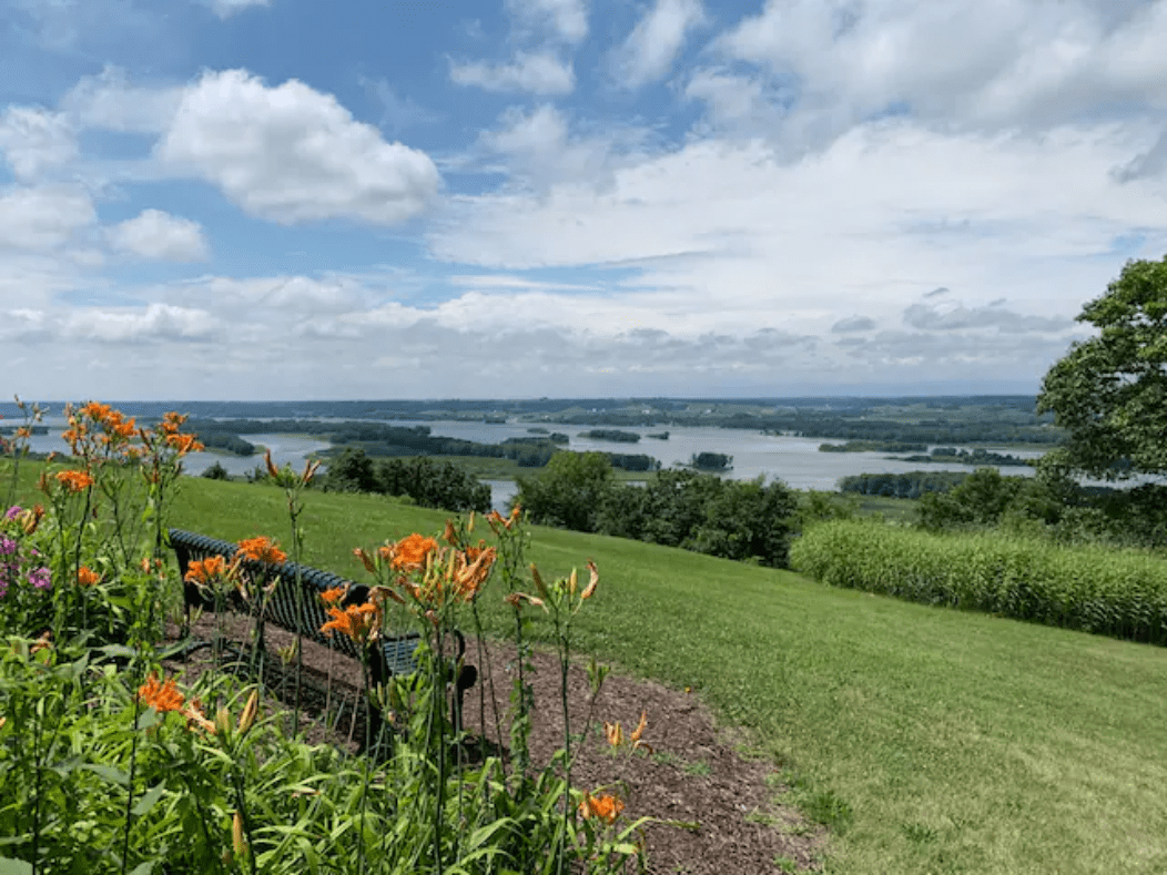 Piggly Wiggly Galena Flowers Best Flower Site