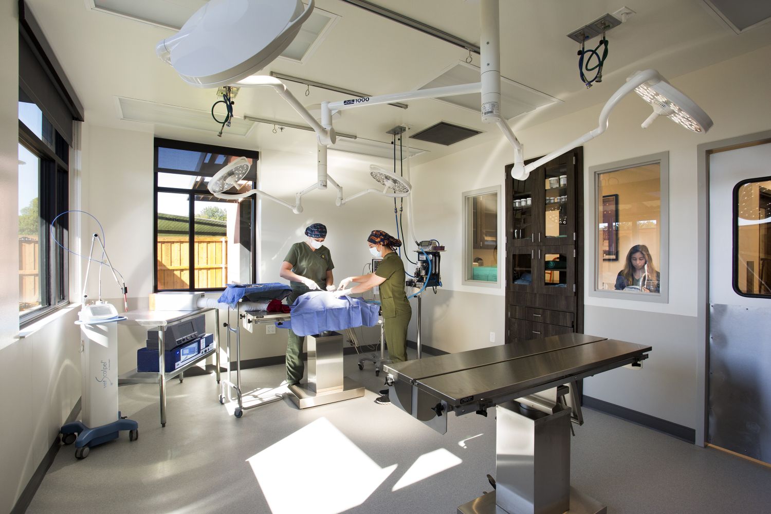 Hospital and Resort Tour Riverwalk Pet Hospital & Resort