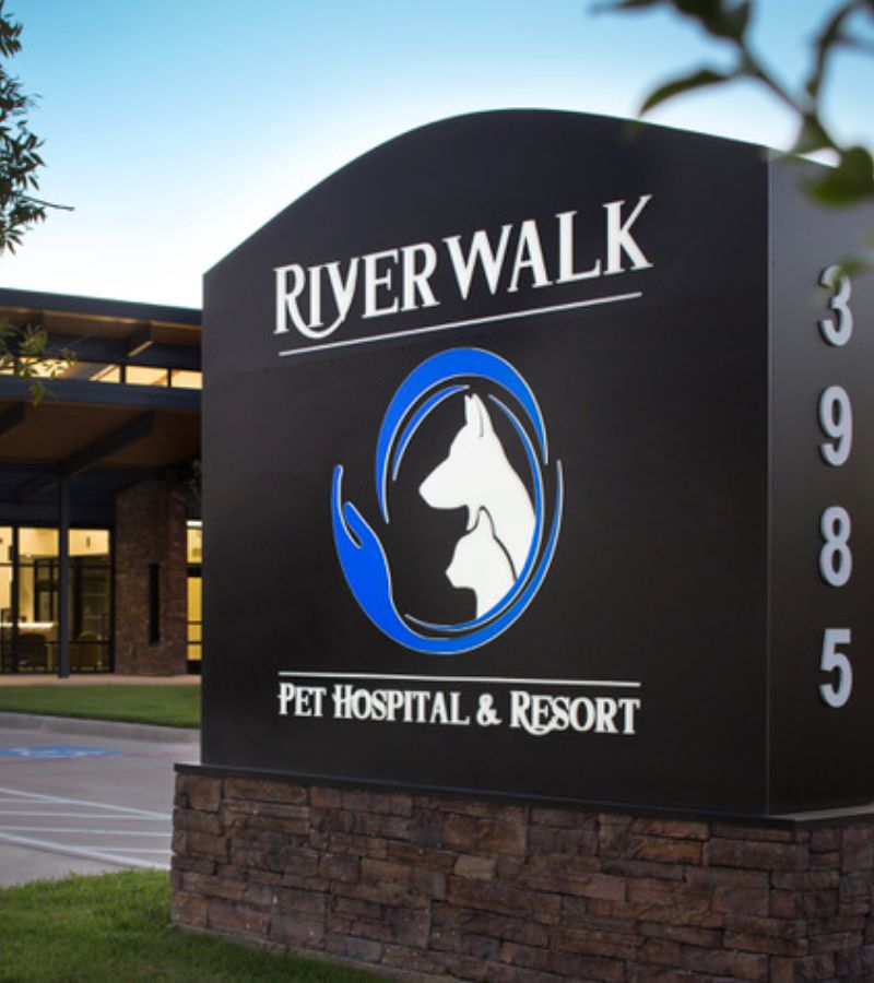 Hospital and Resort Tour Riverwalk Pet Hospital & Resort