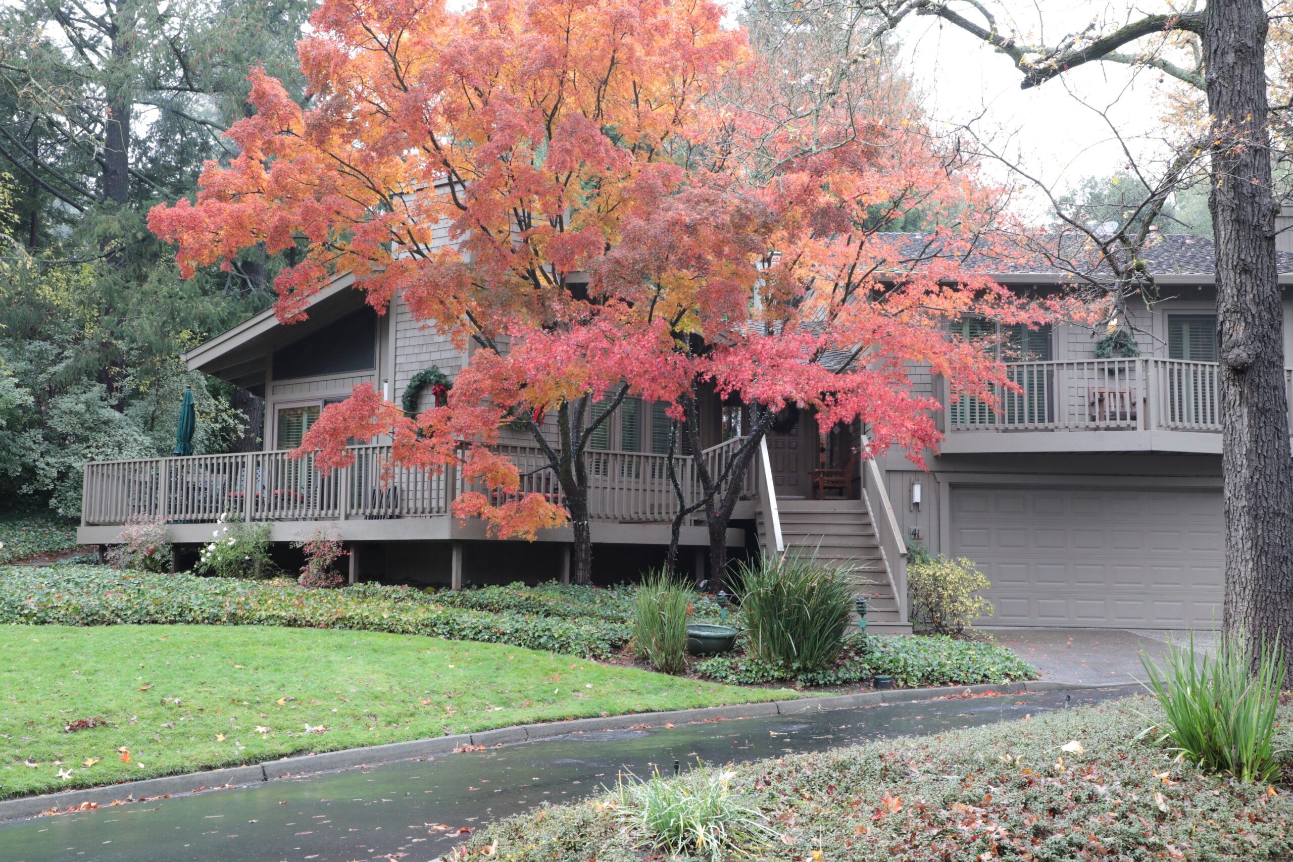 Photo Gallery Riverwood Homeowners Carmichael