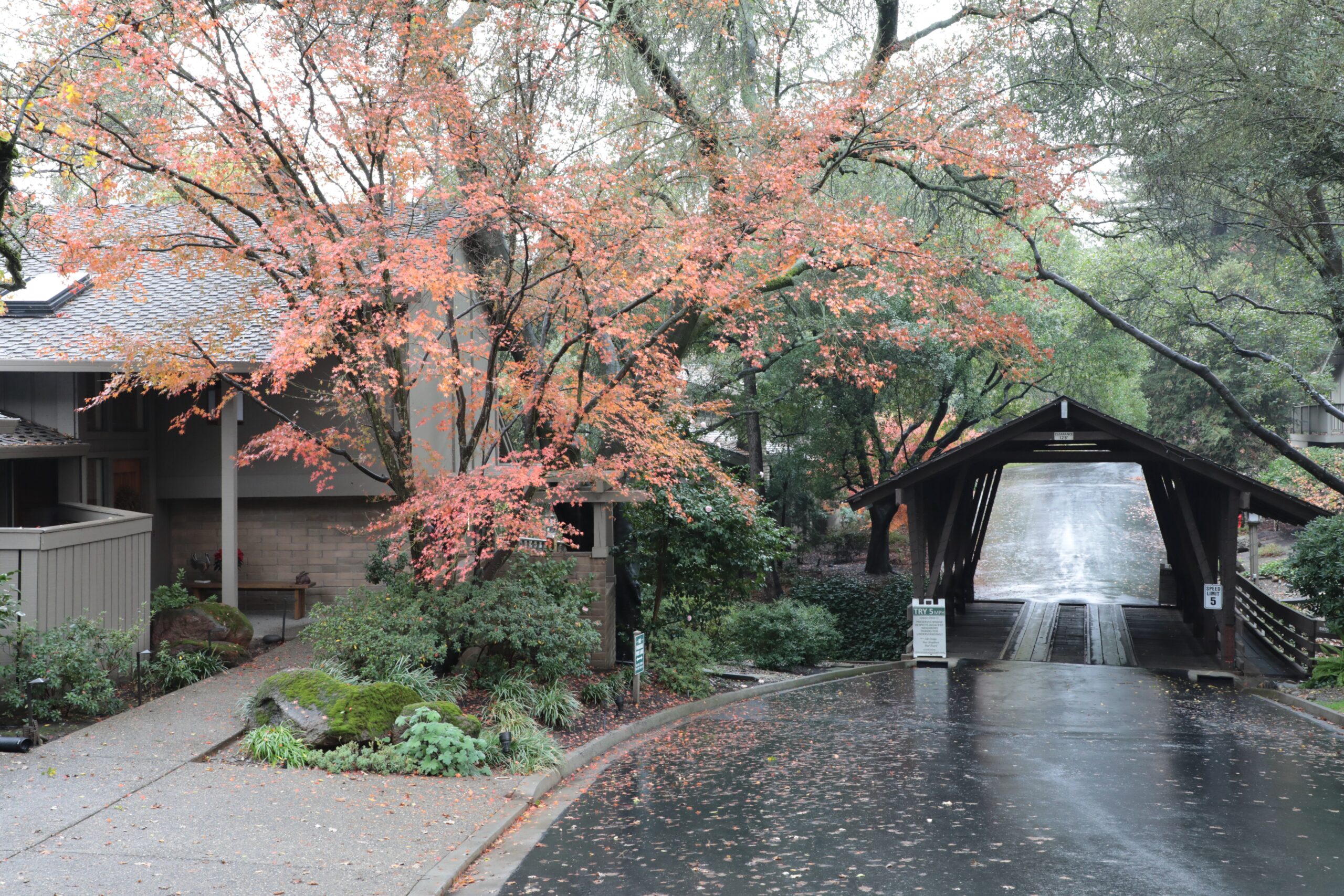 Photo Gallery Riverwood Homeowners Carmichael