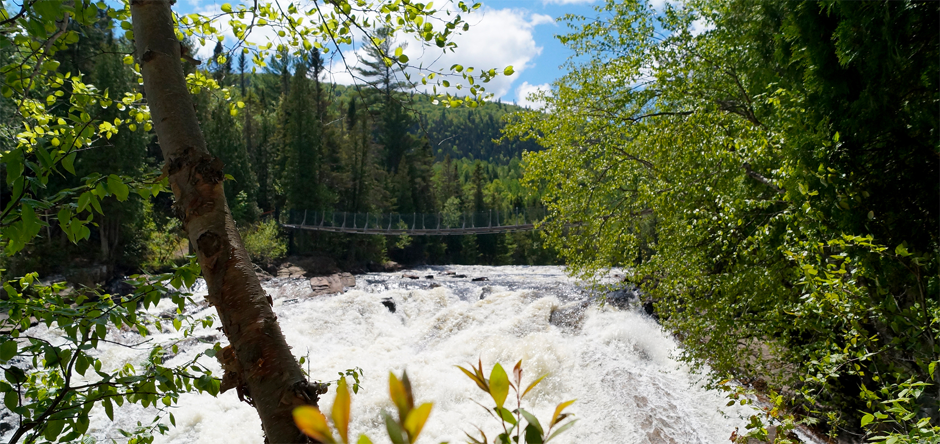 Riviere SaintJean Site de la Corporation de la rivière SaintJean