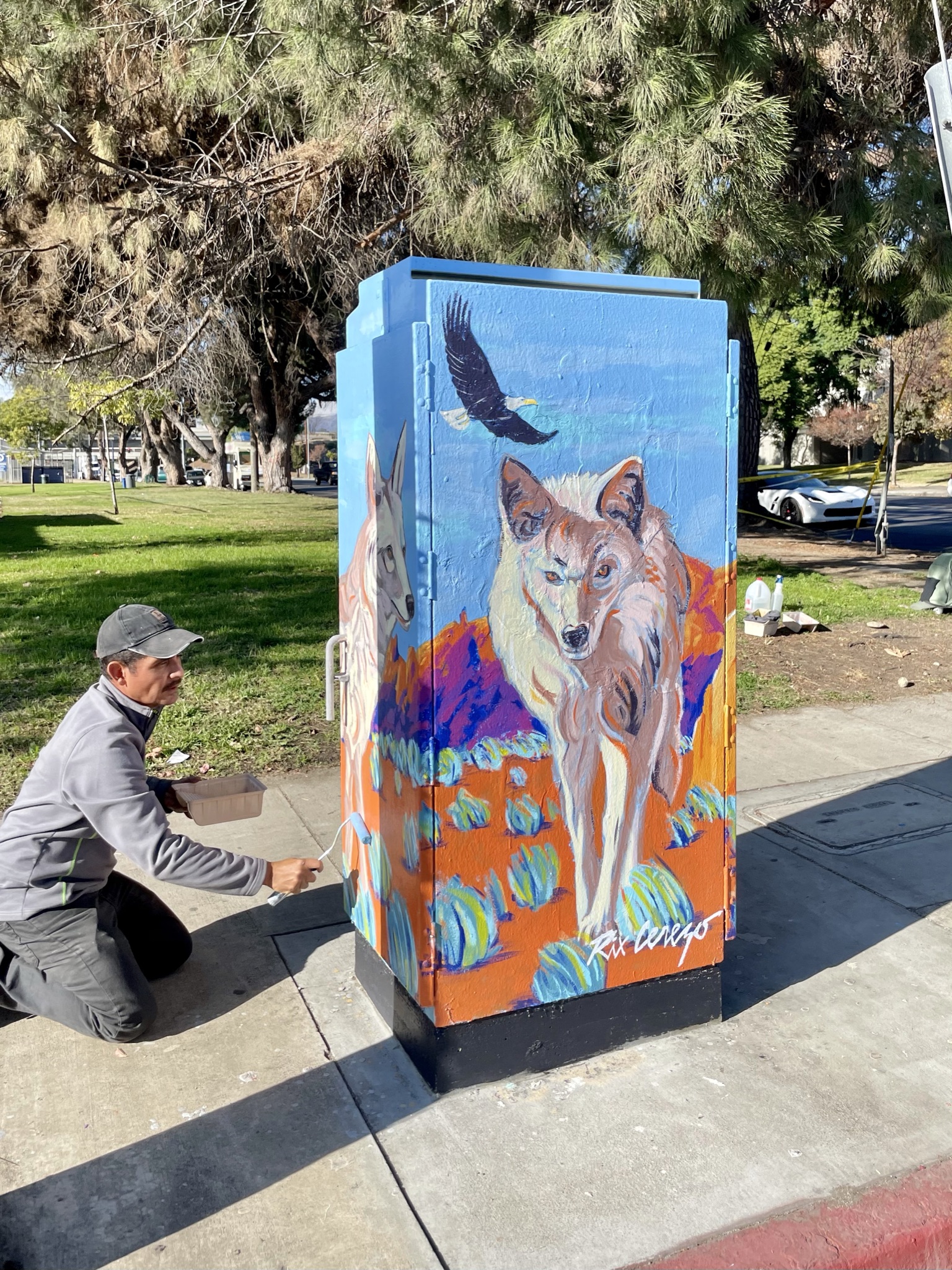 Coyote Land Rix Cerezo