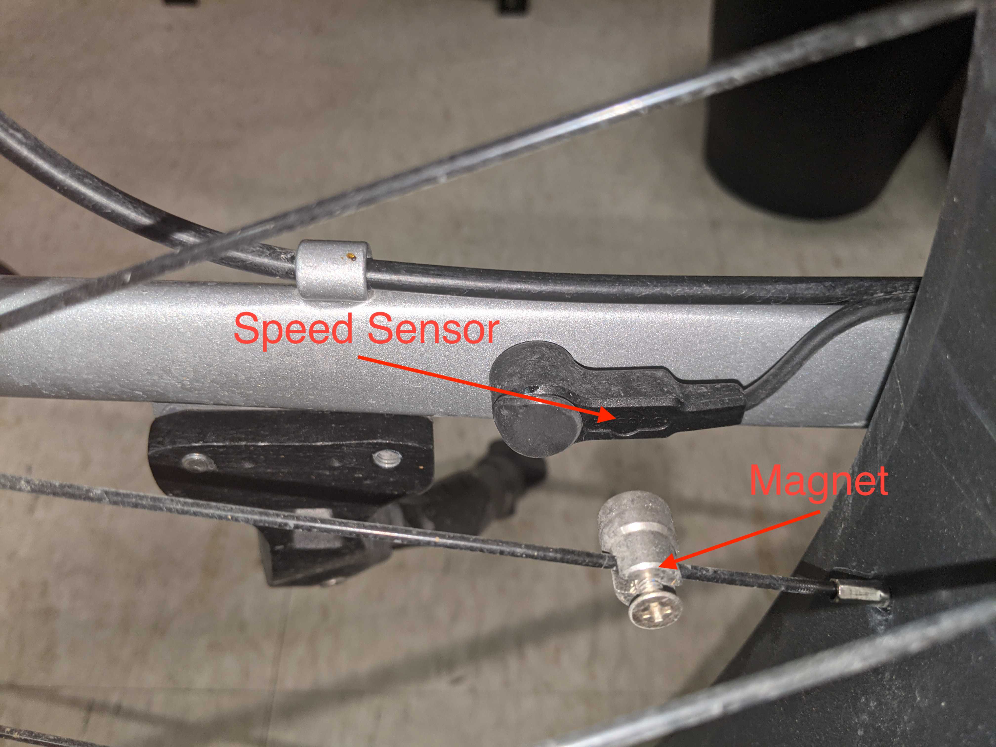 Code 21h Speed Sensor Fault Rize Bikes
