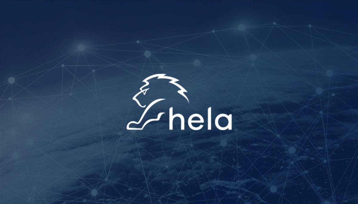 Case Study Hela Apparel SAP S/4HANA Fashion Manufacturing Rizing