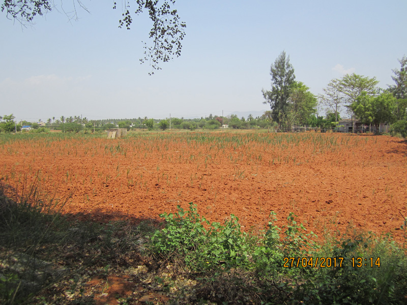 Farm House in coimbatore, Farm Land, DTCP Approved Lands R J Constructors