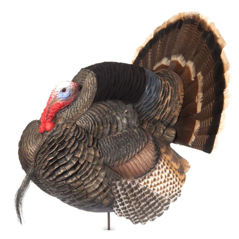 Dave Smith Strutter Most Effective Turkey Decoys