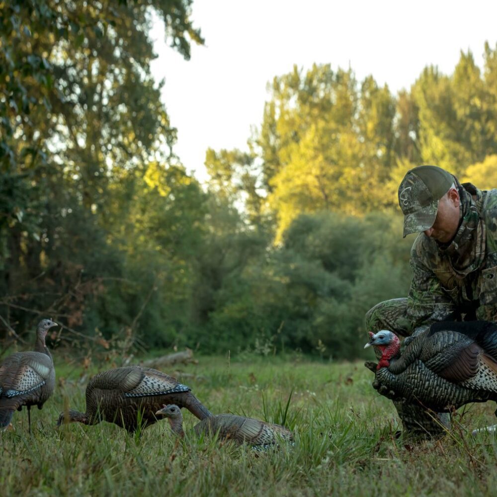 Dave Smith Decoys Turkey Flock Decoy Setup STRUTT'N Brand