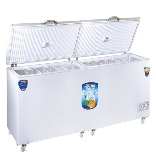Concord Freezer FC2200 RJ Group Plus