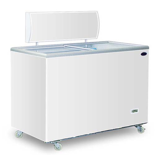 Concord Freezer FR1800 RJ Group Plus